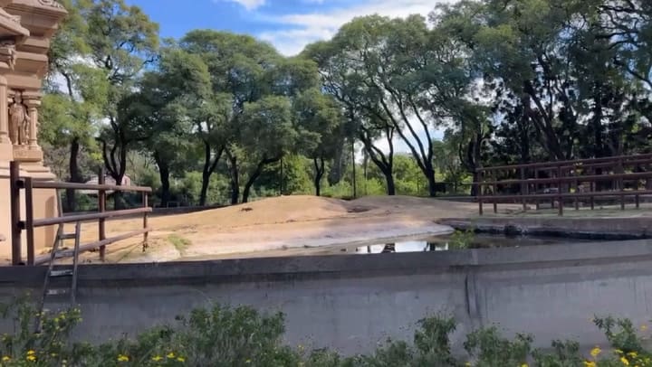 La elefanta Pupy del ecoparque, lista para viajar a un santuario