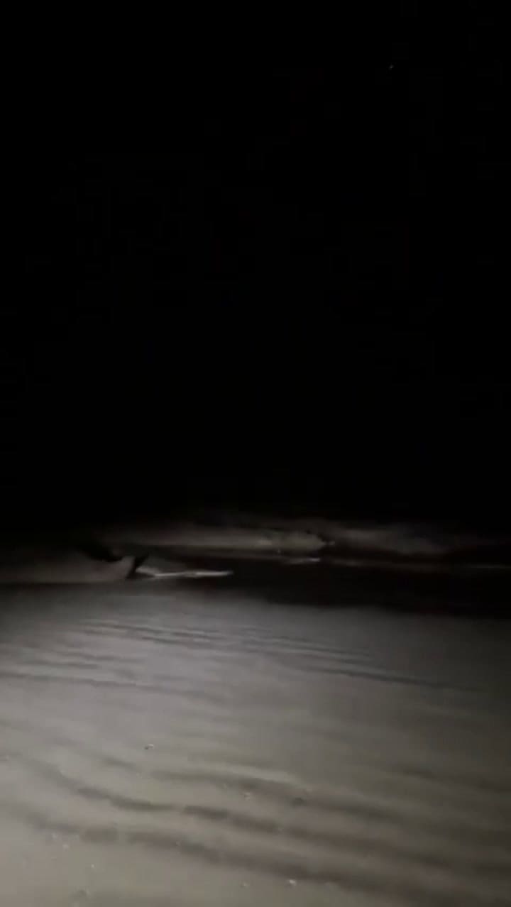 Ecuatorianos graban cómo el mar se retira en una playa de Galápagos