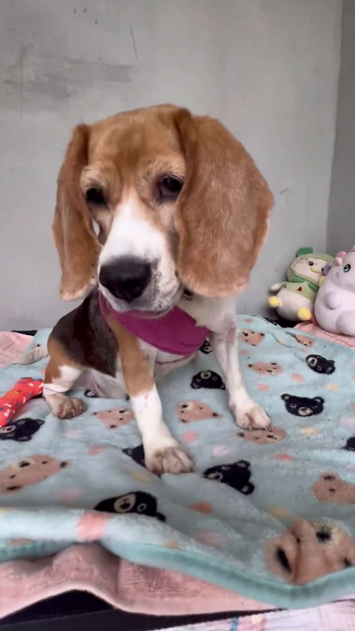 Twittervid.com Niallharbison 179992