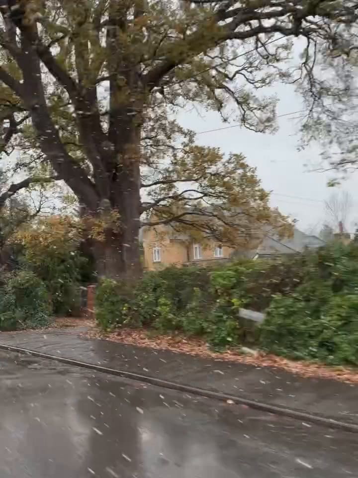 Enzo Fernández post Londres nevado