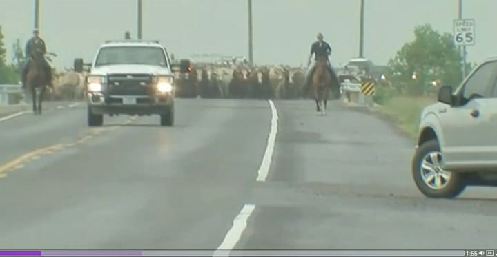 Productores se preparan ante la llegada del huracán Laura