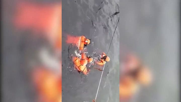 El sorprendente gesto de una manada de delfines desorientados y varados