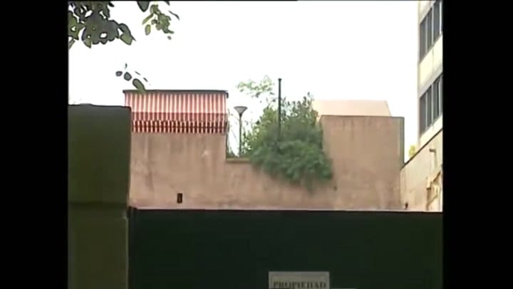 El salto de Charly desde un noveno piso - Fuente: YouTube