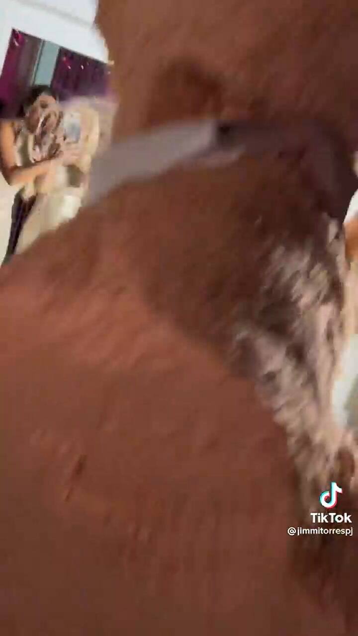 Lele Pons destrozó la piñata y terminó con varias heridas por lanzarse a ella