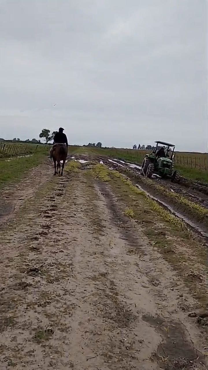 A tractor also left on the road