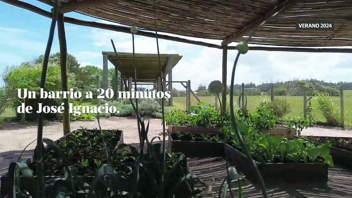 Lasgarzas Ln24 Graph2