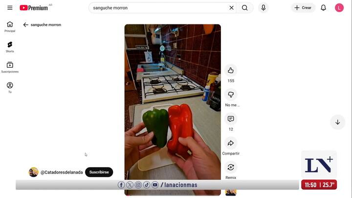 Silvina Tasat en LN+