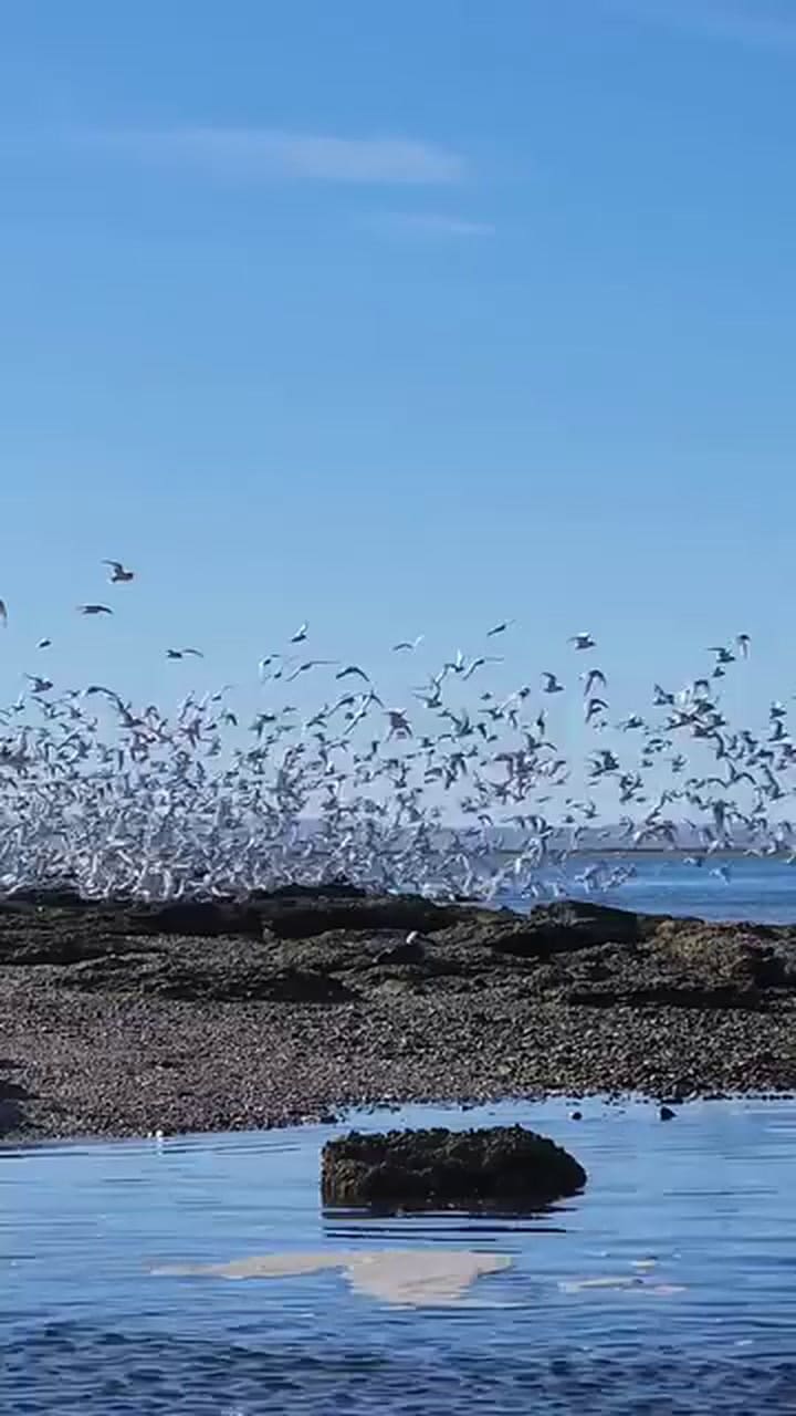 Así es Bahía Bustamante, la estancia en Chubut donde vacacionó la familia Macri