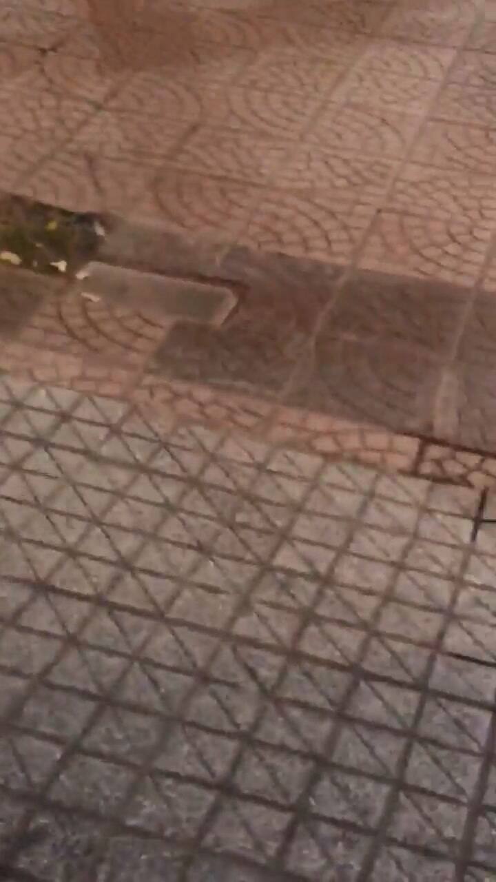 Hater vs. Skater, un joven y un adulto protagonizaron una pelea callejera que se volvió viral