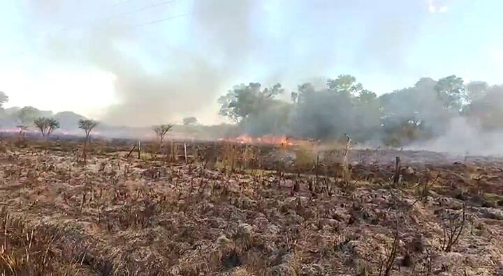 El fuego comenzó ayer por la tarde