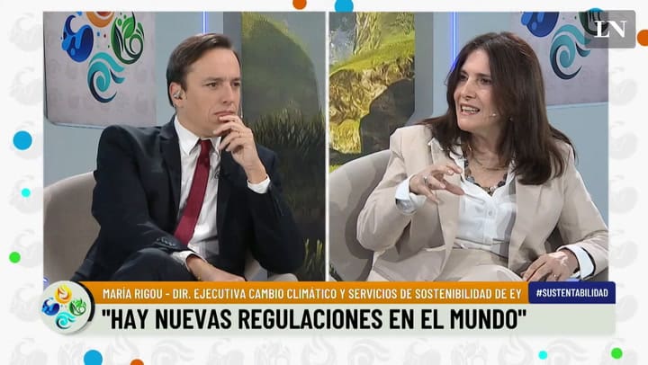 María Rigou Directora Ejecutiva Cambio Climatico Y Servicios De Sostenibilidad De Ey