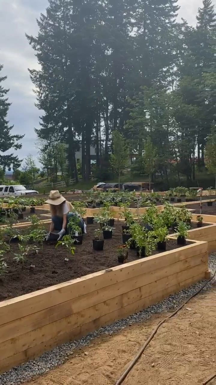Pamela Anderson es feliz en el cuidado de su jardín