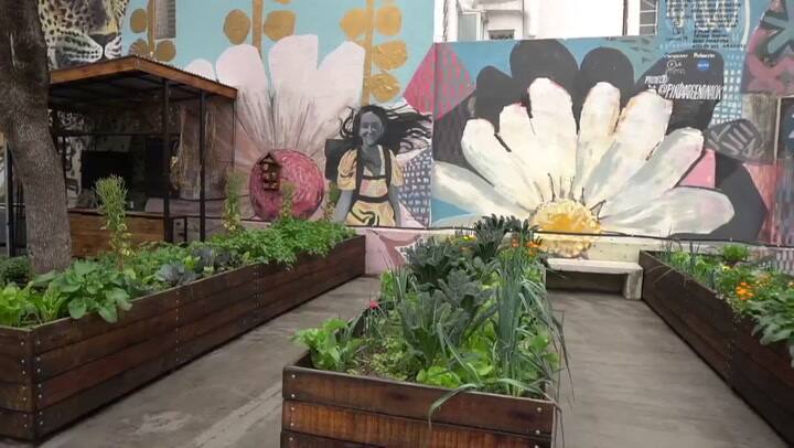 Pablo Rivero presentó la 'huerta urbana' de Don Julio