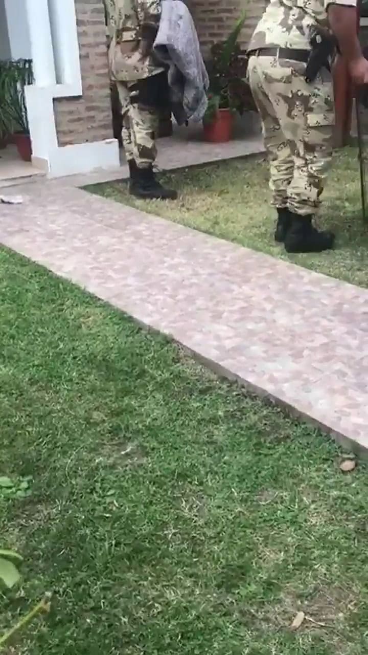 Encuentran un puma en vías de extinción en el patio de una casa en Entre Ríos