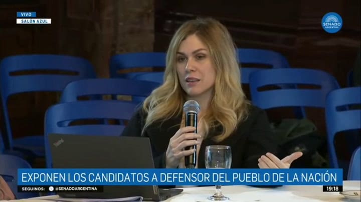 Tenso cruce entre Lilia Lemoine y Cecilia Moreau en una de las bicamerales del Congreso: “Turbia serás vos, nena”