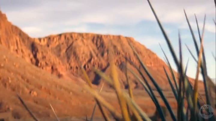 La influencer siniestra: la historia de Jodi Hildebrandt, tráiler