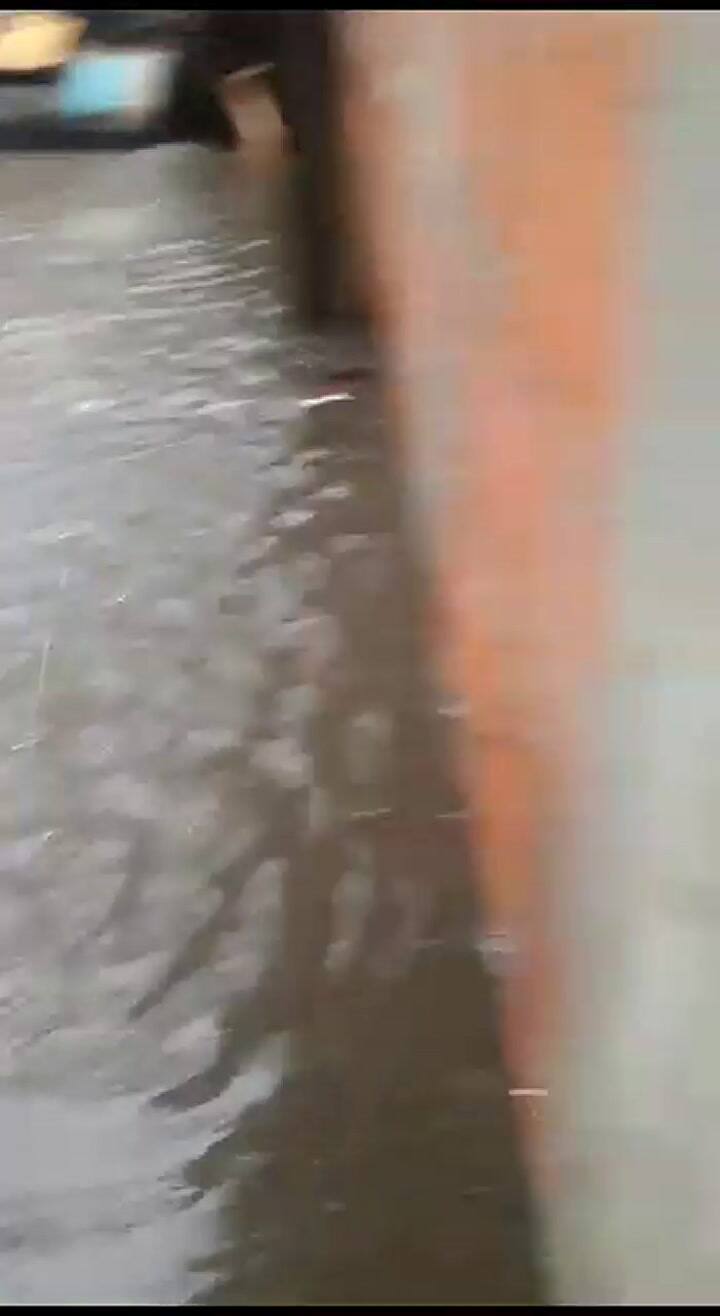 Inundación en una casa de La Cava, en San Isidro