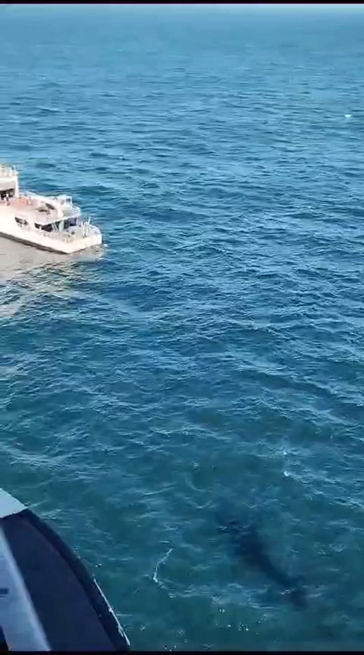 El hallazgo del kayak