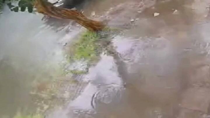 Brutal robo de motochorros en La Plata