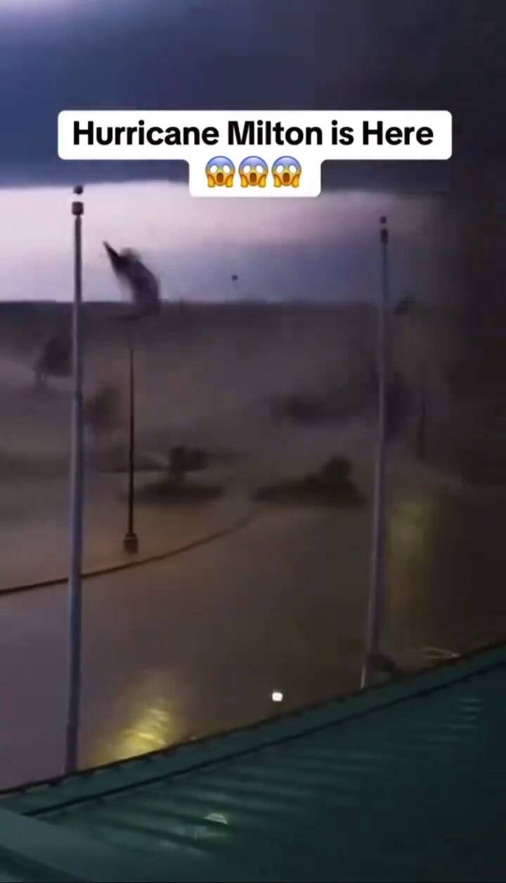 Ssstwitter.com 1728492331926