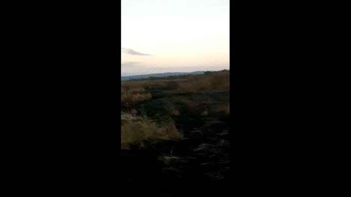 Un incendio intencional consumió 200 hectáreas de pastura en Tucumán