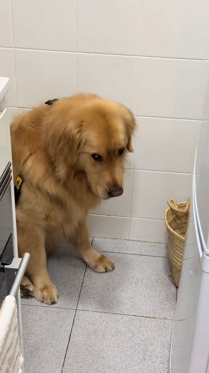 Ssstik.io @Nataliasimontiktok 1731376025195