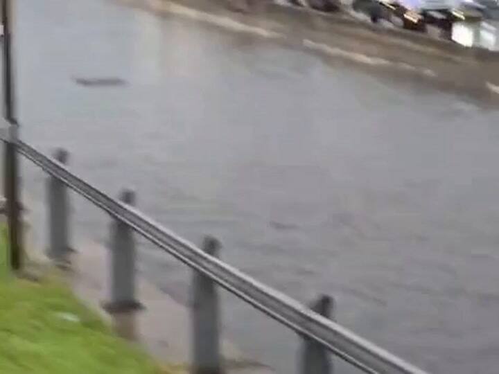 Tormenta Gif Panamericana