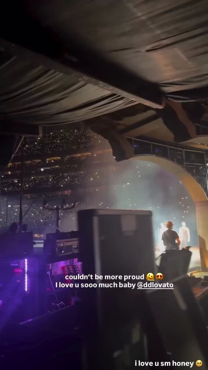 Así entraba Demi Lovato al show de los Jonas Brothers