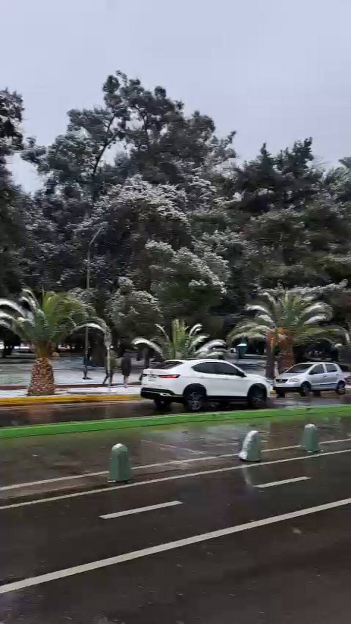 Nieve en el parque San Martín, de la ciudad de Mendoza