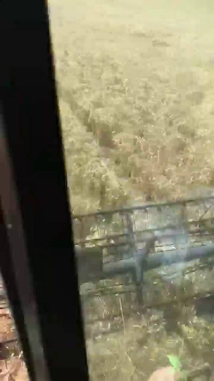 Alicia Rodich y el trabajo que realizo en el campo.