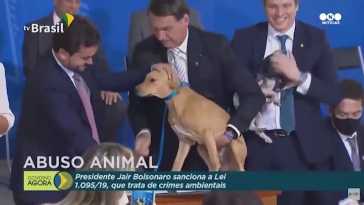 Bolsonaro promulgó una ley firmando con un perro - Fuente: TV Brasil