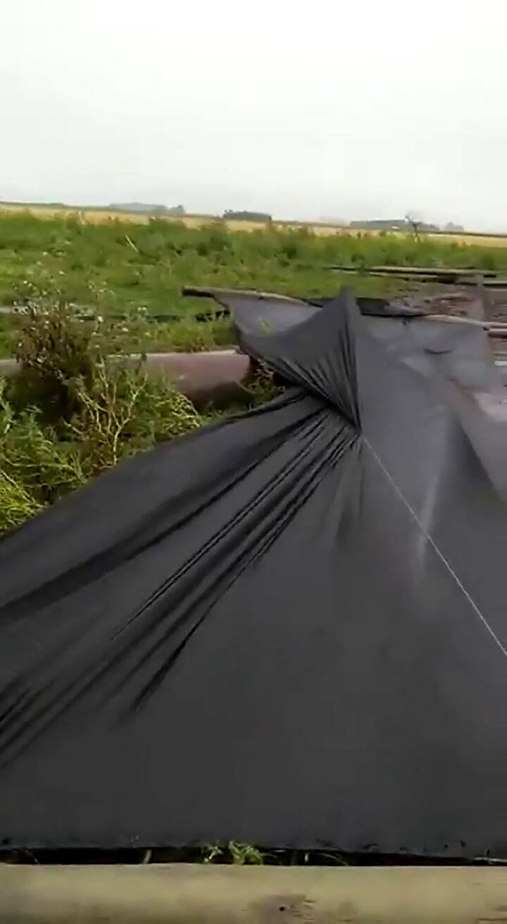 El drama en un tambo tras una lluvia de 180 mm y la caída de un rayo - Fuente: Twitter