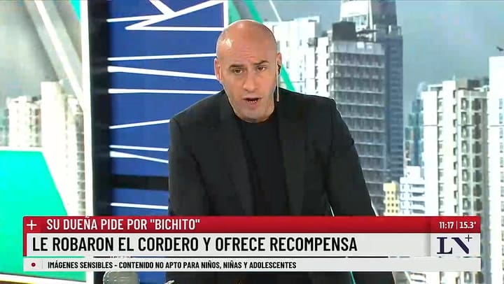 Patentamiento 2025