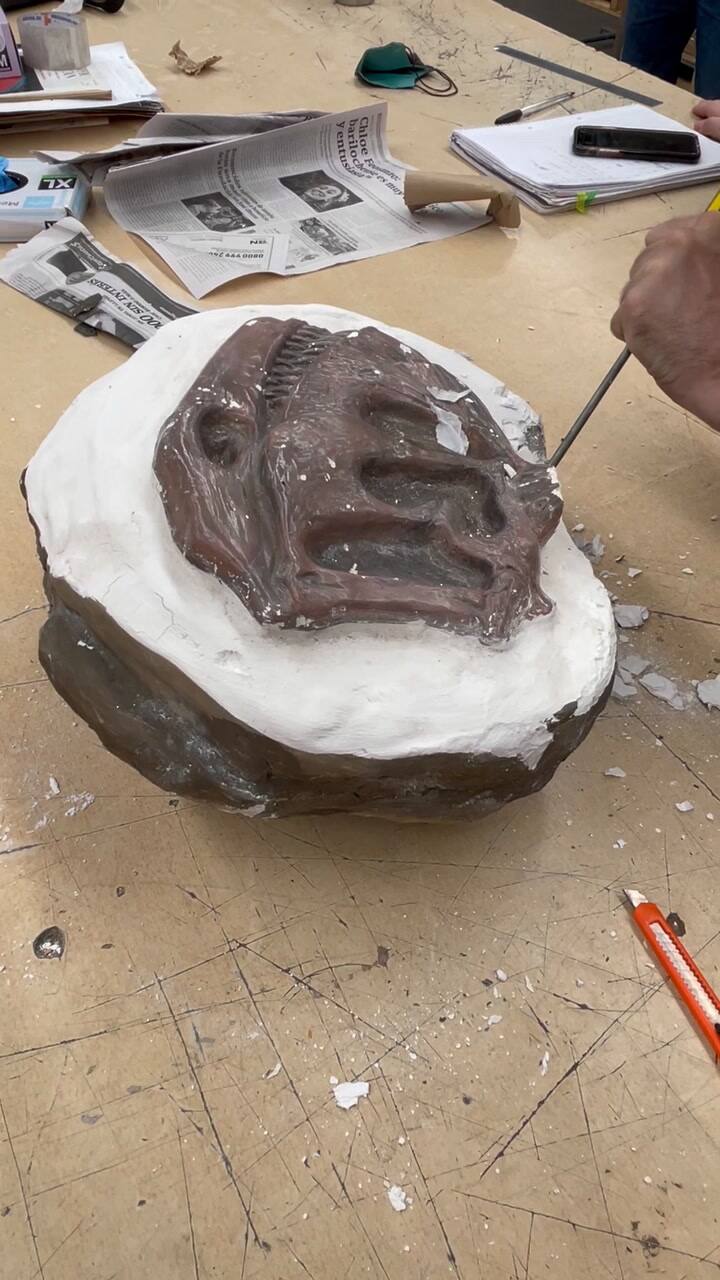 HISTÓRICO: LA ADUANA DETUVO EL CONTRABANDO DE UNA ENORME COLECCIÓN DE 6.400 FÓSILES —HAY PIEZAS DE VALOR INCALCULABLE