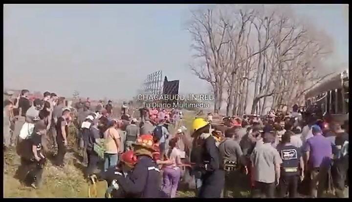 Faenan animales que se liberaron tras el vuelco de un camión