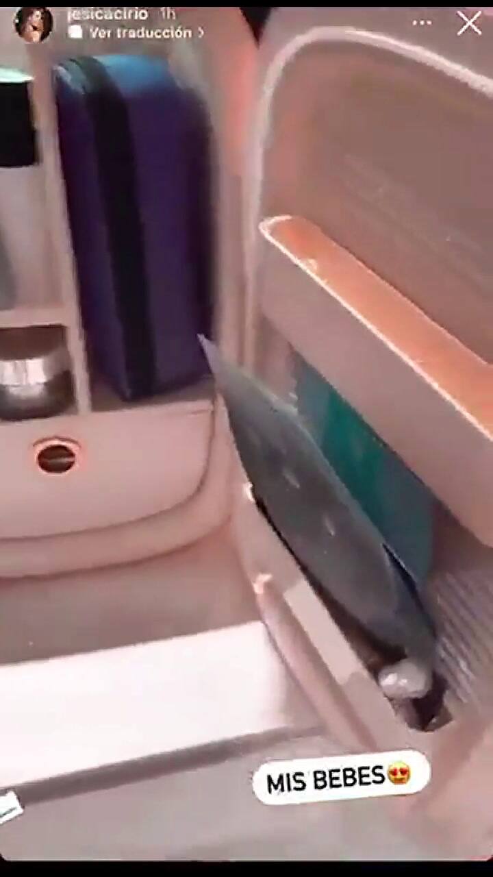 Jésica Cirio tiene una heladera en su baño para guardar sus cosméticos