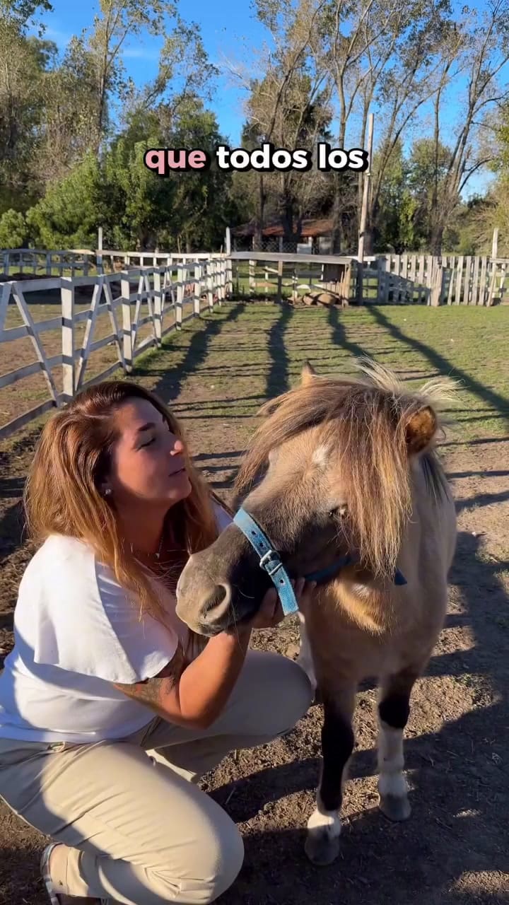 El santuario de animales de Julieta