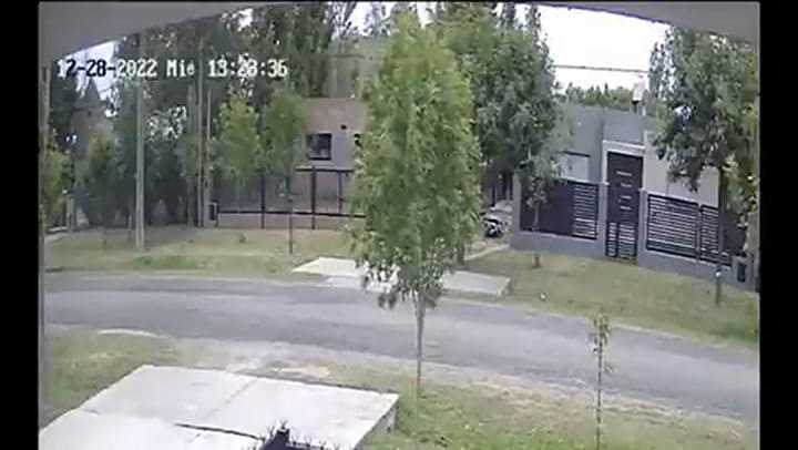 Dos perros pitbull atacó a un hombre en Rosario