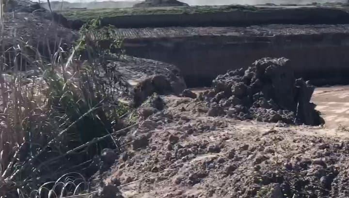 Obras de Nordelta que ocuparon el humedal donde antes vivían los carpinchos