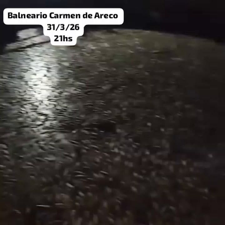 Preocupación en Carmen de Areco