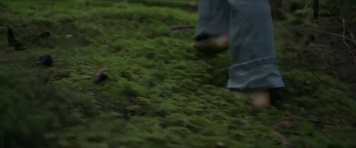 Trailer de Border - Fuente: YouTube