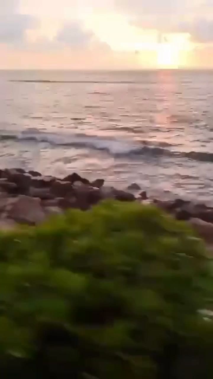 Una mujer cayó de un tren por intentar capturar un momento viral