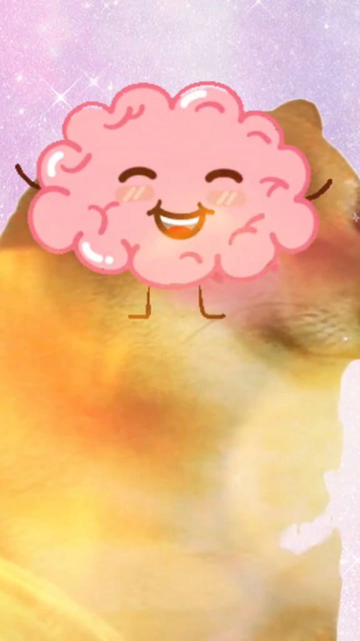 ¿Existe el amor eterno?, qué dicen los expertos