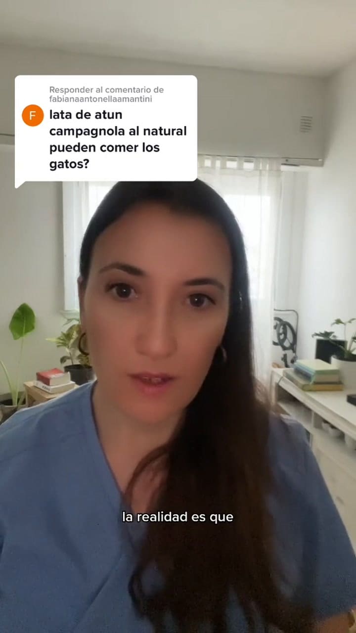 Ssstik.io @Vet.integral 1728743339043