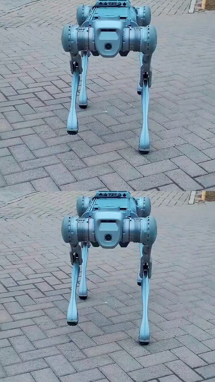 Perro robot