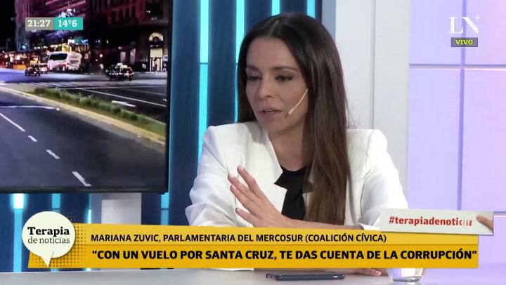 Mariana Zuvic:'Alberto Fernandez es un testaferro político'