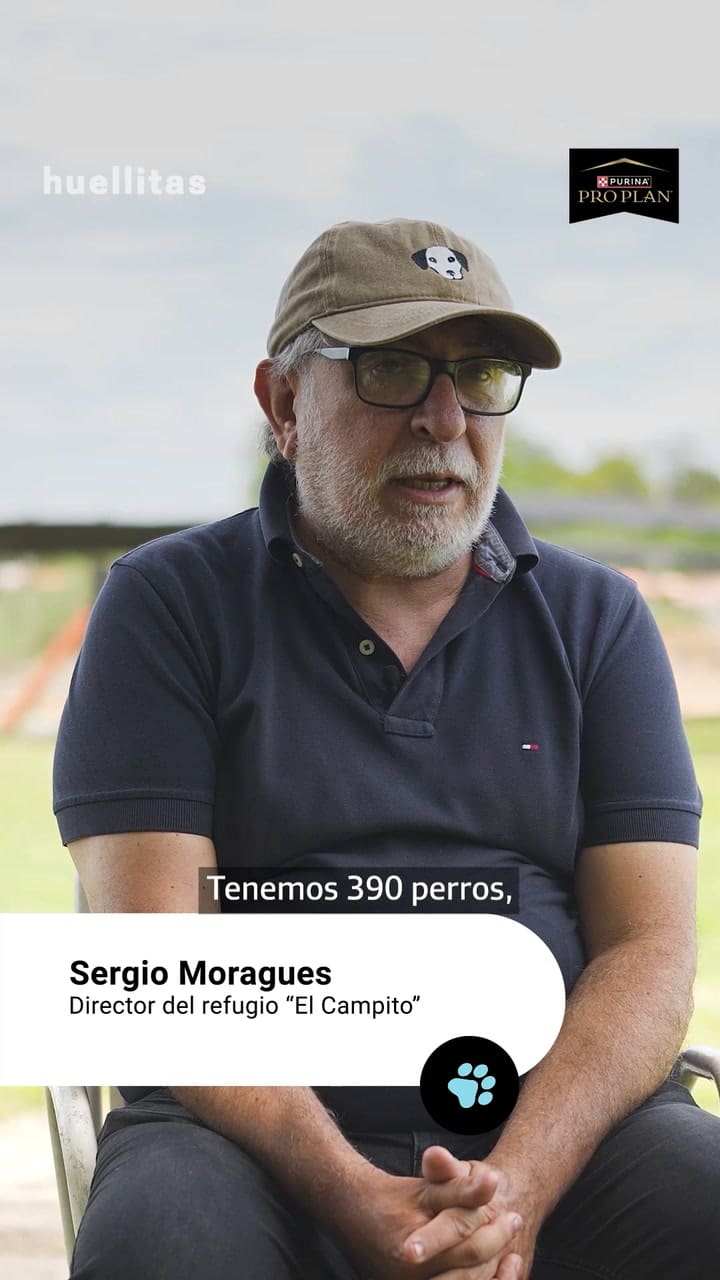 La historia de El Campito