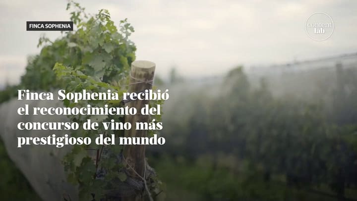 Sophenia - Content Lab Ln 2024 Graph3