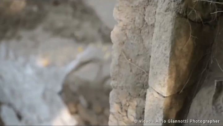 Descubren un relieve fúnebre en Pompeya de hace 2000 años