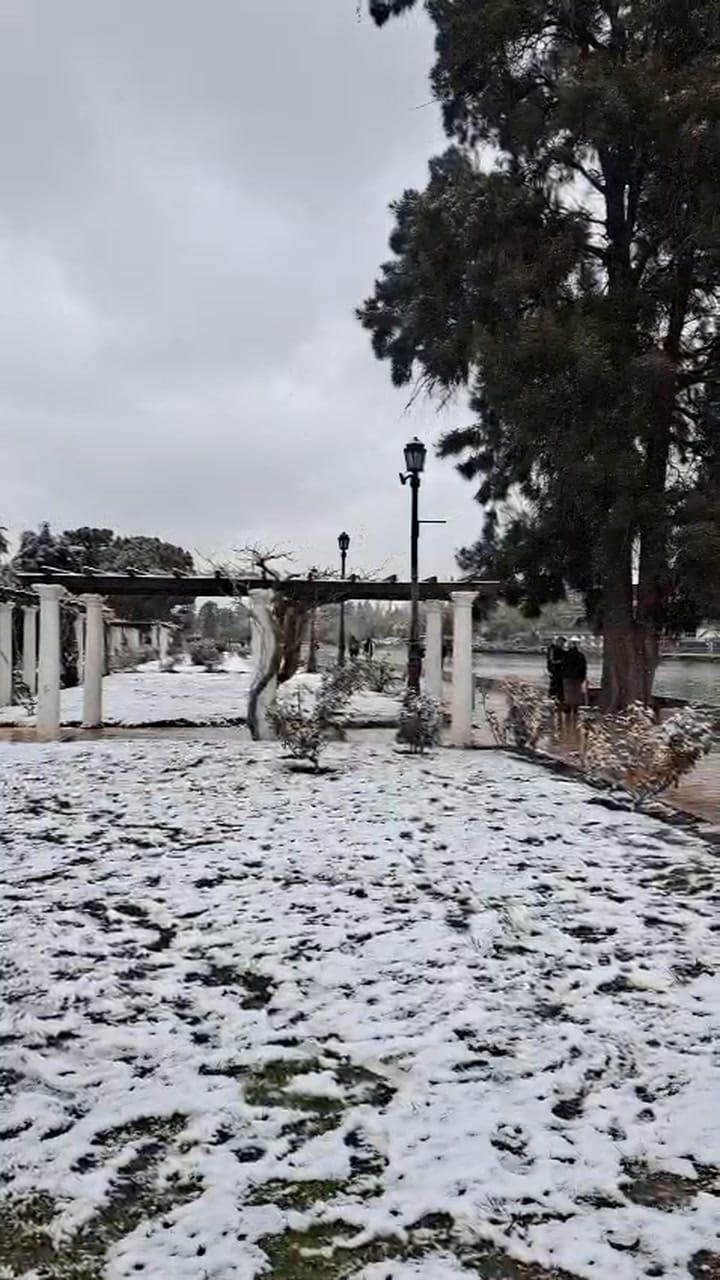Nieve en el parque San Martín, Mendoza